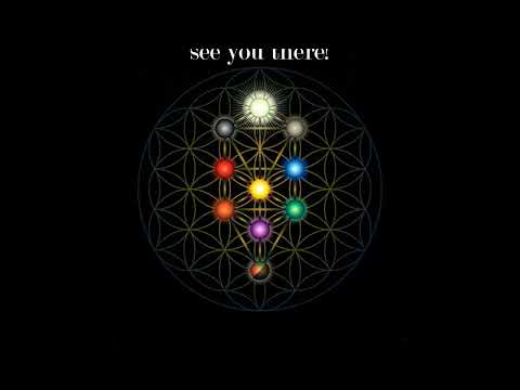 Connect to the TREE OF LIFE ascension light grid - live!