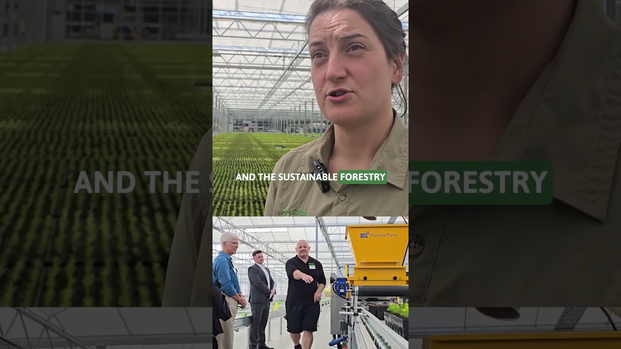 The New Tree Nursery That Could Grow 19 MILLION Trees Each Year
