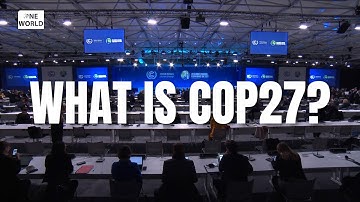 What is COP27?