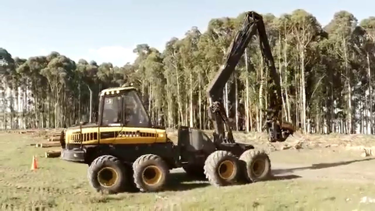 Logging in Uruguay by Forecentro Cosecha Forestal.