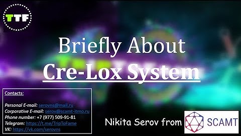 Cre-Lox System For Implementing The Gene Knockout Experiments