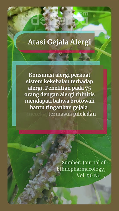 5 Manfaat Brotowali untuk Kesehatan, Pahit Rasanya Tapi Manis Khasiatnya
