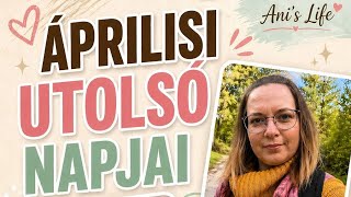 Április utolsó napjai 🌷 Németországi vlog | REWE &amp; AKTION bevásárlás 🛒