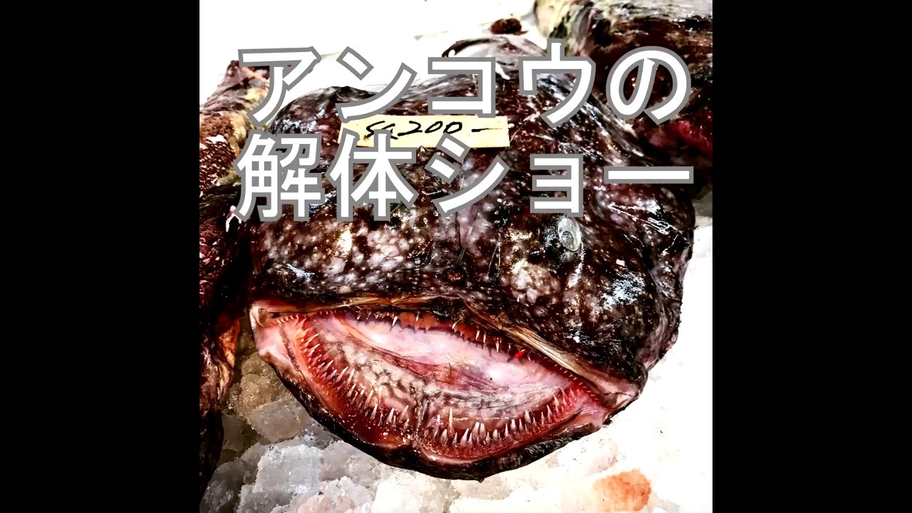 大洗でアンコウを1匹買いして解体してもらいました 地域ブログ おでかけ 大洗でアンコウを1匹買いして解体してもらいました 地域ブログ おでかけ