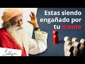 Deja de identificarte con la mente │ Sadhguru