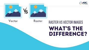 Raster Bitmap vs Vector Graphics: What’s the Difference?
