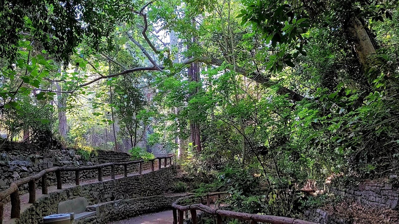 Los Angeles urban jungle oasis nature walk asmr at Ferndell Nature