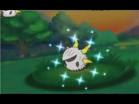 3ds ポケモン Oras Shiny Larvesta 色違い メラルバ 色違 燃燒蟲 Youtube