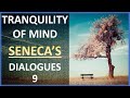 Seneca of tranquillity of mind  my narration