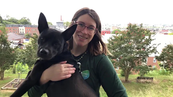River Hero Home Pledge: Pick Up After Your Dog