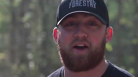 The Ideal Tool for Silvopasture: Gyro-Trac Forestry Mulching Machines