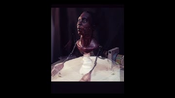 Khaby Lame Mechanisim Stephanie 