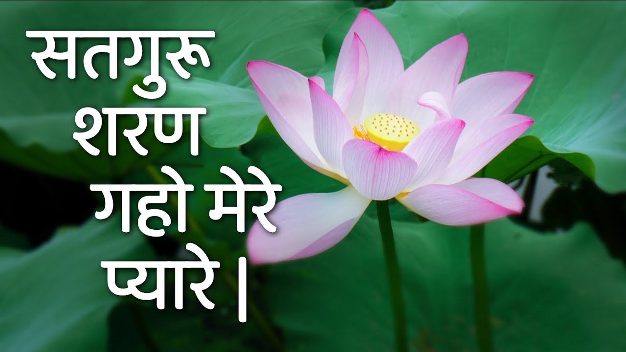 सतगुरू शरण गहो मेरे प्यारे ।। राधास्वामी ।।@babadagariyamission