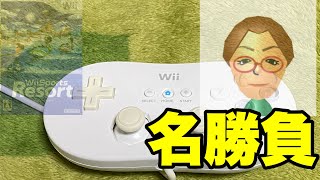 【Wii】クラシックコントローラー買ったからあのゲームする！【リゾる】