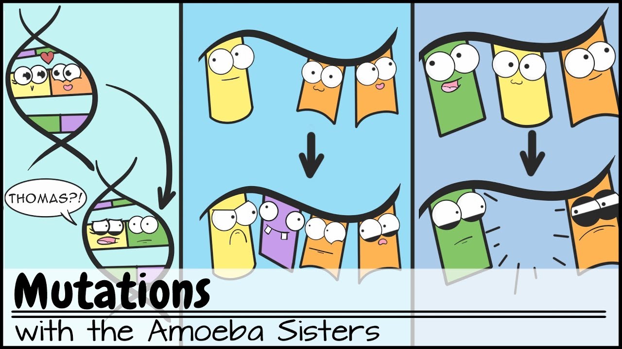 Amoeba Sisters - Aflam-Neeeak