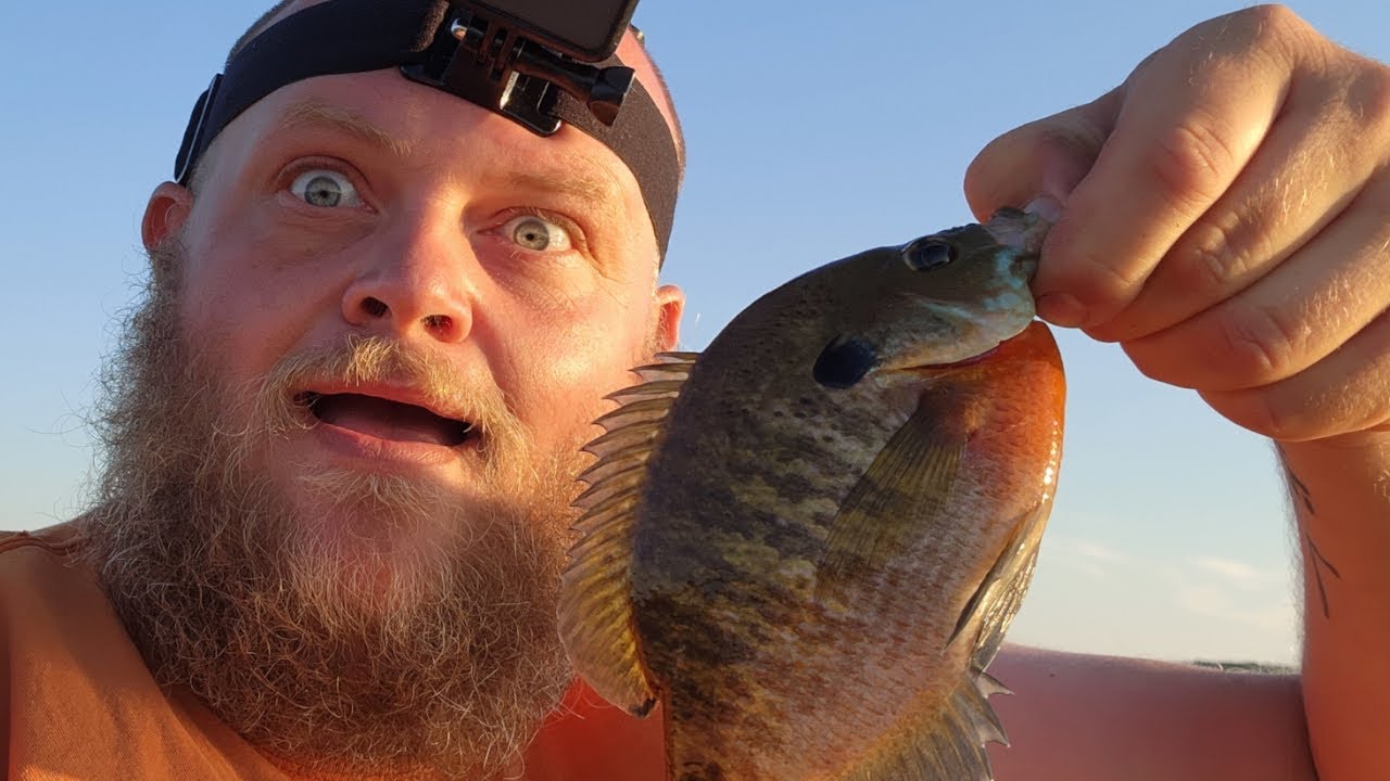 БОЛЬШИЕ синежаберные и солнечные рыбы на озере Манисти!