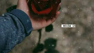 Whatsapp Durumluk Videol