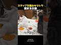 ステップを踏むキジトラと固まる白猫