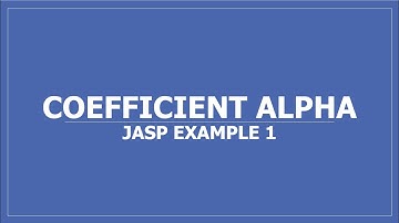 Coefficient Alpha Example 1