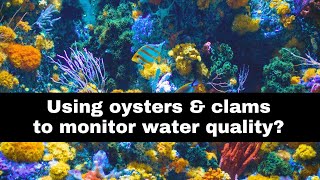 Oysters reporting water quality? Not science fiction!