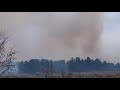 Шахтинск,пожар в лесопосадке,25 апреля 2021