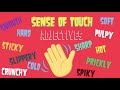 Sense of Touch Adjectives Quiz