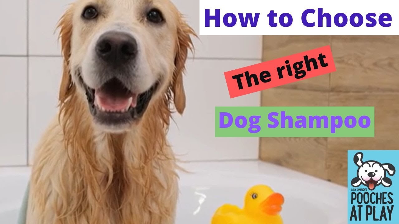 Patch Test And Safe Bathing Steps