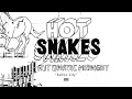 Capture de la vidéo Hot Snakes - Salton City