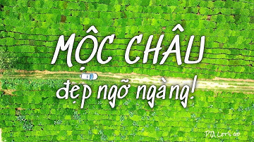 ĐẸP NGỠ NGÀNG thảo nguyên Mộc Châu, có một Mộc Châu rất khác / Sơn La Vlog