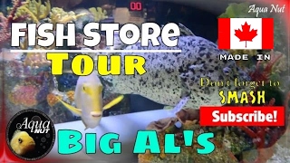 big al's aquarium supplies