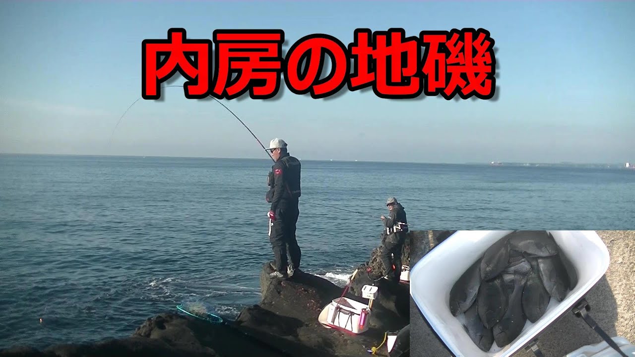 内房の地磯　久々によねちゃんと行ってきました