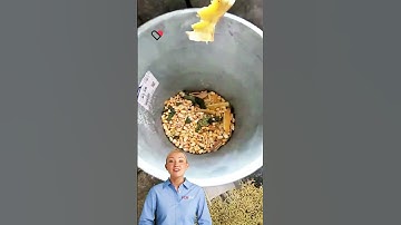 #fcnfm #feedpelletmachine How to Manufacture High-Value Organic Fertilizer Pellets from Cow Dung