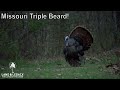Missouri Triple Bearded Gobbler - Spring Turkey Hunting At It's Best!