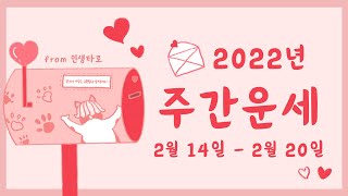 2월 14 - 2월 20일 주간운세