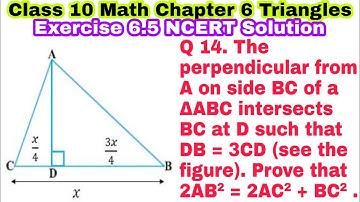 Class 10 Ex 6.5 Q 14 | Chapter 6 | Triangles | NCERT Solutions | CBSE | EXERCISE 6.5