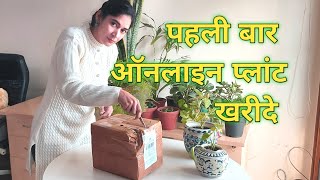Online plant unboxing|ऑनलाइन पौधे खरीदने का पहला अनुभव||First experience of buying plant online