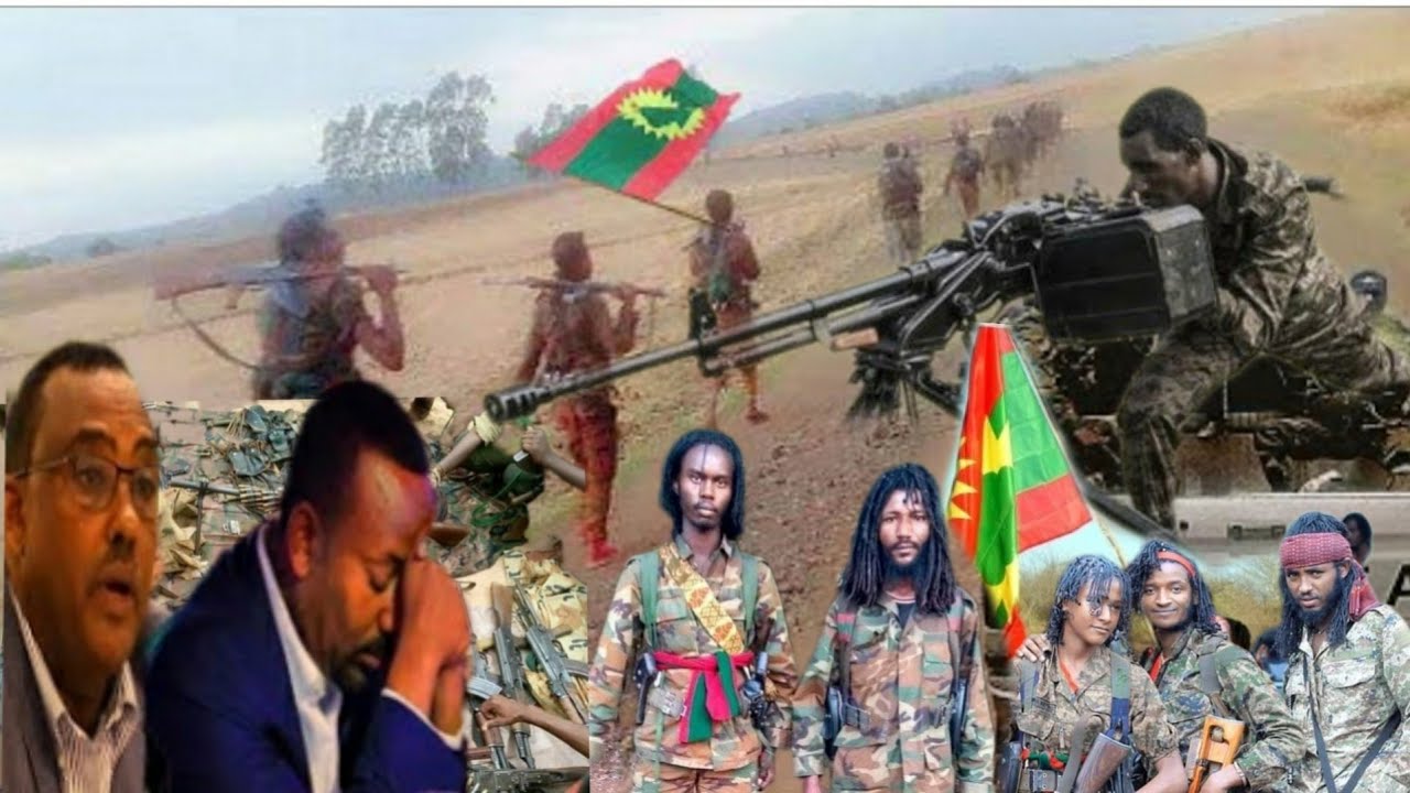 Oduu Hatattama Jajjabo Guyyaa Haraa Warrani Bilsuma Oromo Warrana Pp