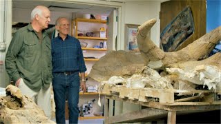 Did Noah’s Flood Bury 10,000+ Dinosaurs in Wyoming?  Dr. Art Chadwick