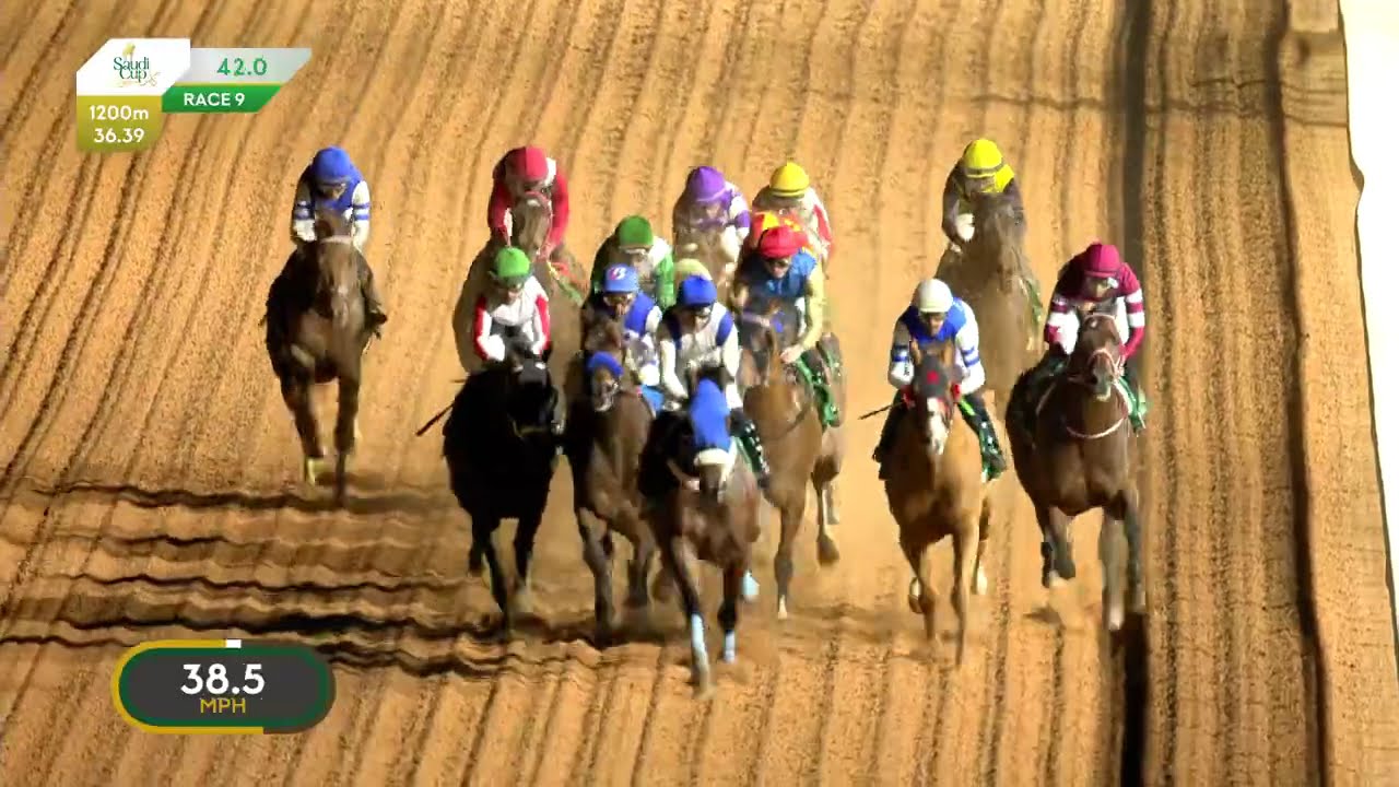 Forever Young (Jpn) ( Real Steel *Jpn) Saudi Cup G1 $20M 2026