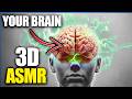 Your brain on 3d asmr  wear earphones