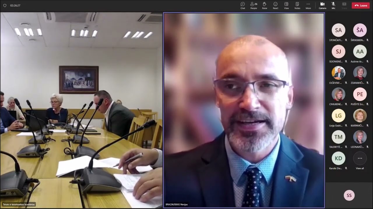 DARBAS TAUTOS ATSTOVYBĖJE (11)