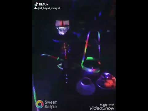 هاني شاكر بحبك ياغالي حالات واتس اب