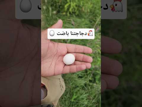 تبين لنا مؤخرا يا عباد الله أن الدجان حتى هن يسقطين والعياذ بالله