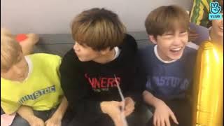 NCT V LIVE SUB INDO - (Dream V Live Haechan BIRTHDAY)