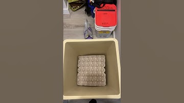 perfect fit and oddly satisfying! egg carton in my recycle bin.