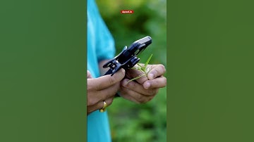 Apexel 12x/24x #macrolens #iphone14promax #shorts