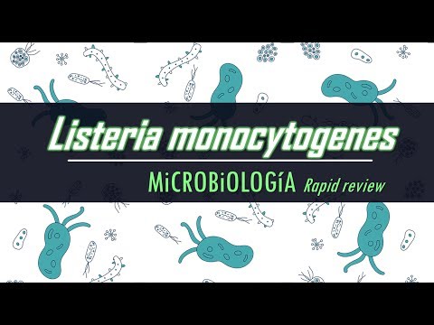 Vídeo: Infección Intramamaria Crónica Por Listeria Monocytogenes En Una Cabra Clínicamente Sana: Reporte De Un Caso