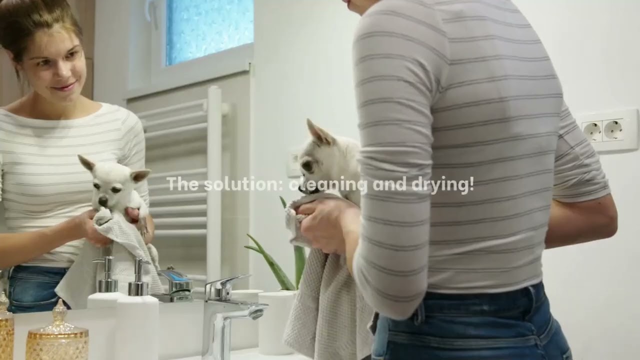 Dog Paws Smell Like DORITOS? 🧀 The VET Secret to Stop PAW FUNK FOREVER!