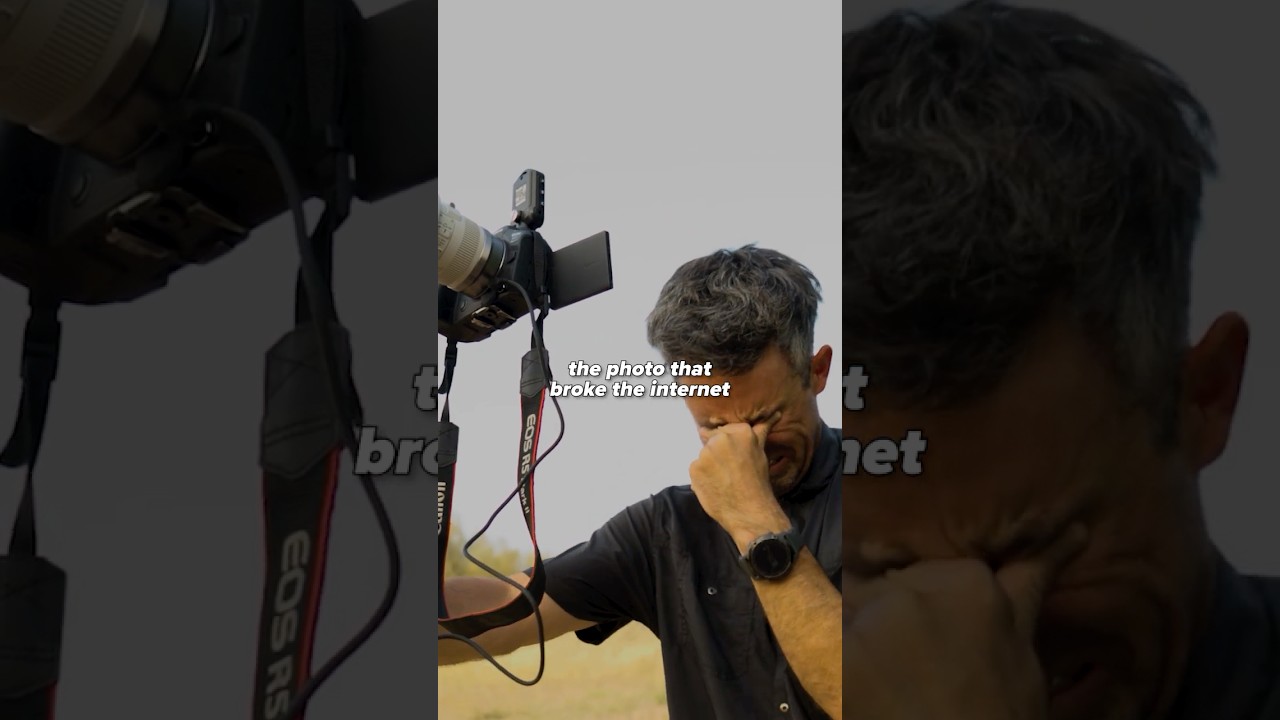 Latest Title & Thumbnail