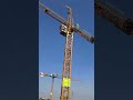 construction work very hard 😭🥹🏗️🏯